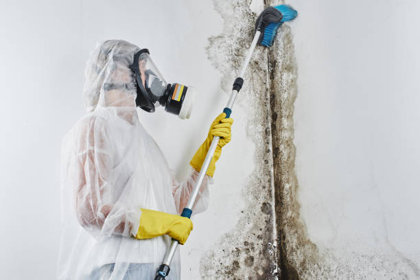 Best Fast Mold Removal  in Redstone Arsen, AL