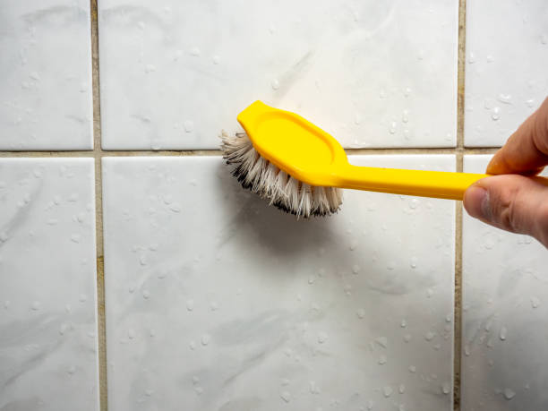Best Mold Damage Repair  in Redstone Arsen, AL