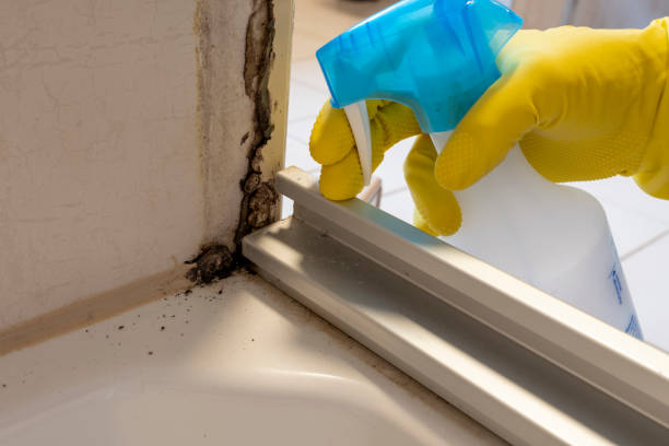 Redstone Arsenal, AL Mold Removal Company