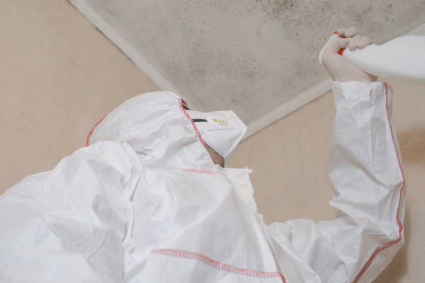 Best Mold Removal Company Near Me  in Redstone Arsen, AL