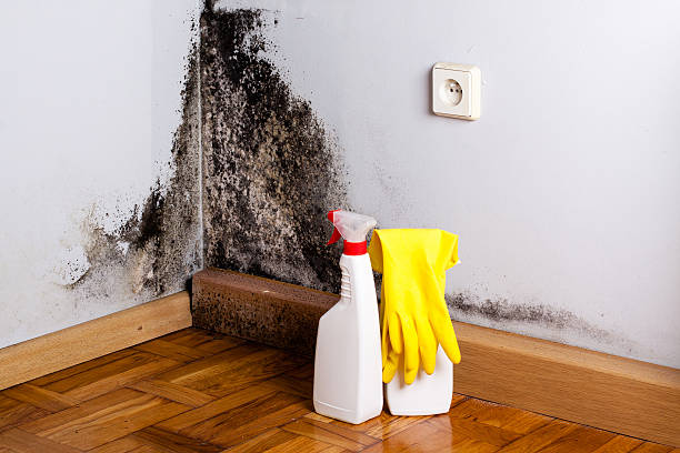 Best Mold Testing  in Redstone Arsen, AL
