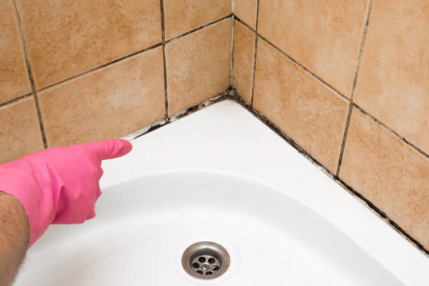 Best Attic Mold Removal  in Redstone Arsen, AL